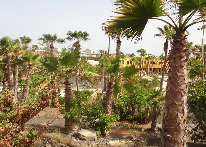 Lägenhet Relax In Stunning 1-bedroom In Corralejo