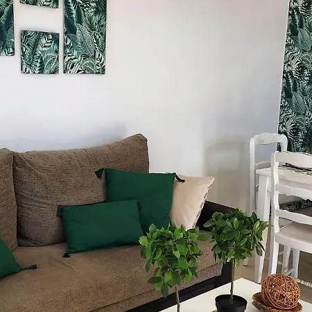 Relax In Stunning 1-bedroom In Apartamento